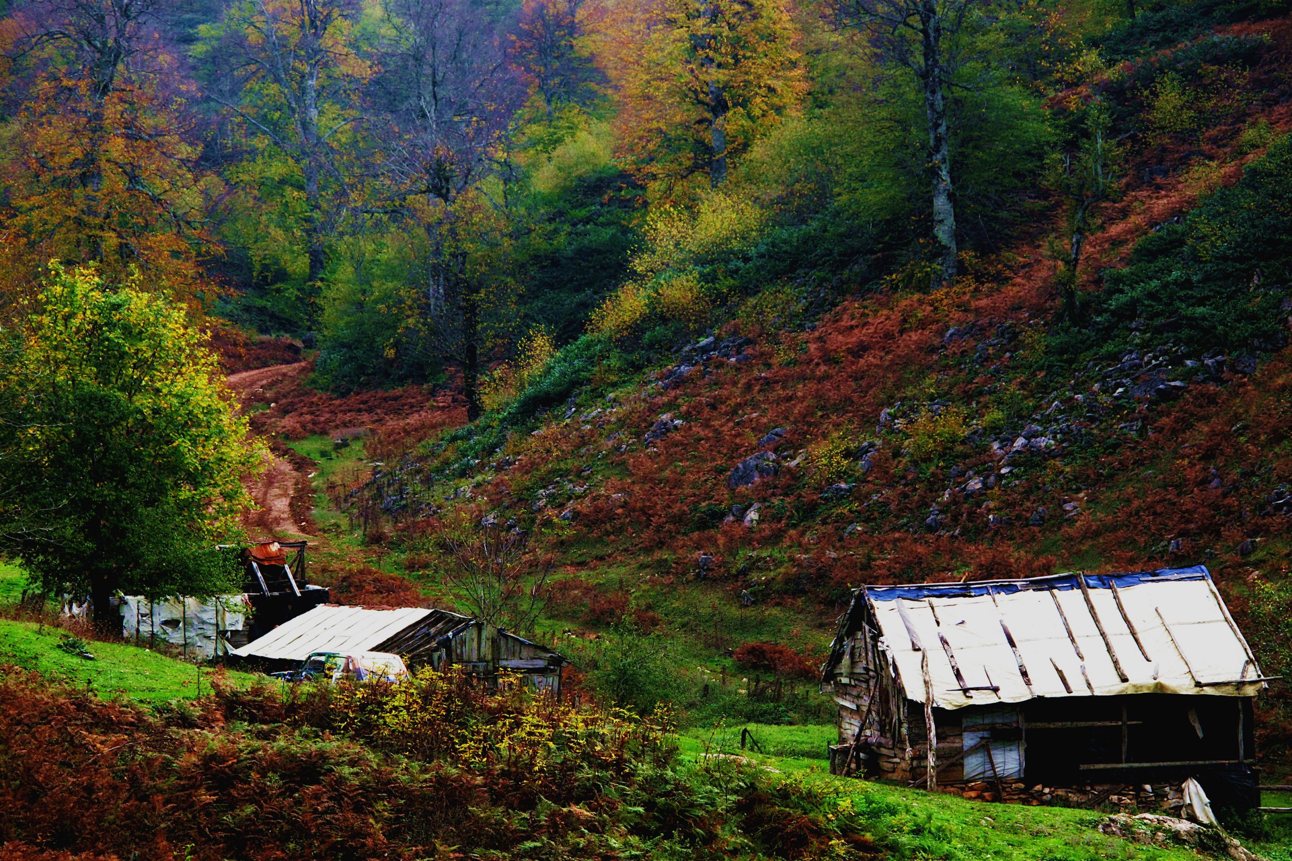Doğada Huzur Durağı