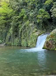 Sessizliğin Büyüleyici Sığınağı