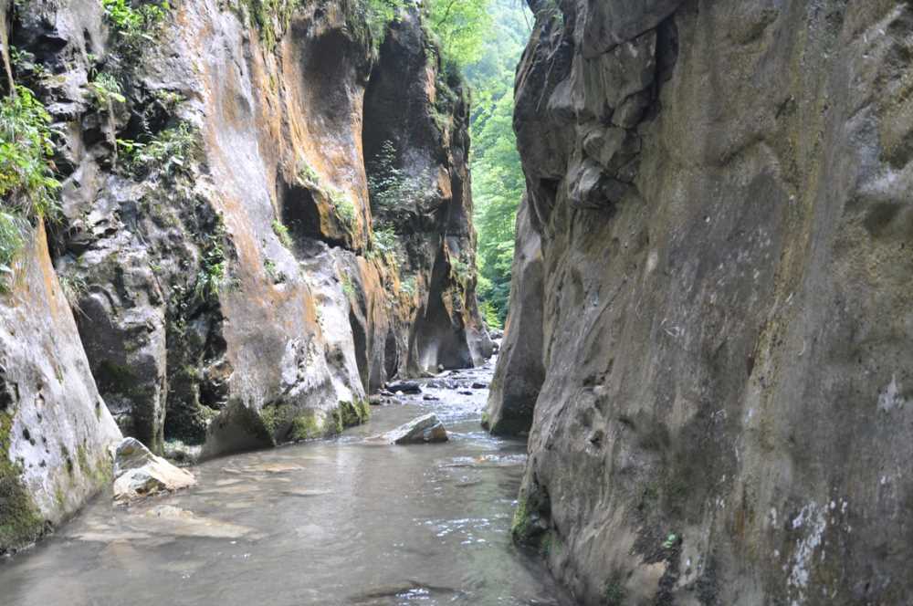Berrak Sular ve Doğal Kaynak